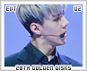 evt-28thgoldendisks02