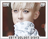 evt-28thgoldendisks07