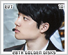 evt-28thgoldendisks10