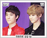 evt-mama201213