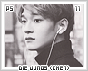 ps-diejungschen11