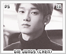 ps-diejungschen13