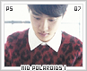 ps-midpolaroidsi07