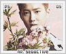 ps-mrseductive05