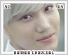 sc-bamboocharcoal05