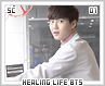 sc-healinglifebts01