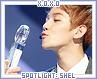 xoxo-spotlightshel